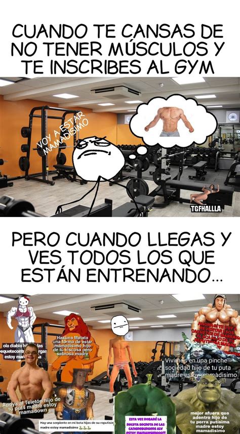 memes fitness español|More.